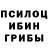 Псилоцибиновые грибы мицелий lll sherez