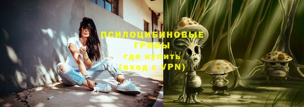 стаф Ступино