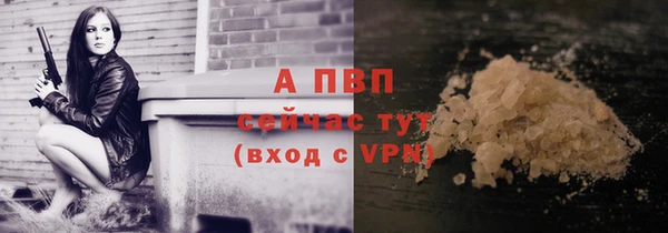 стаф Ступино