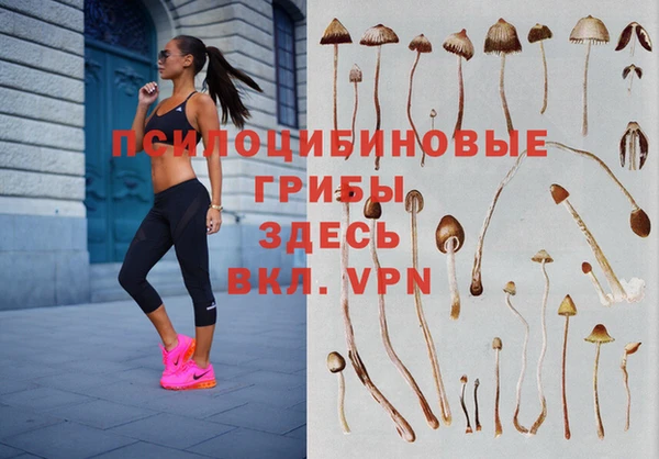 тгк Струнино