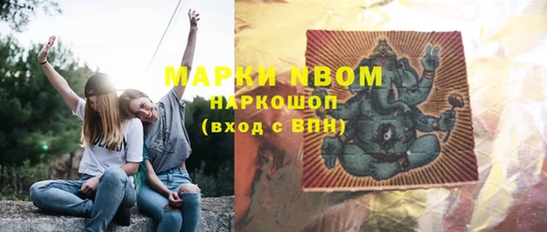 стафф Зеленокумск