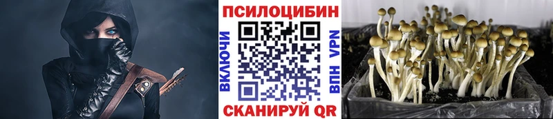 Галлюциногенные грибы Psilocybe  mega зеркало  Волгодонск 