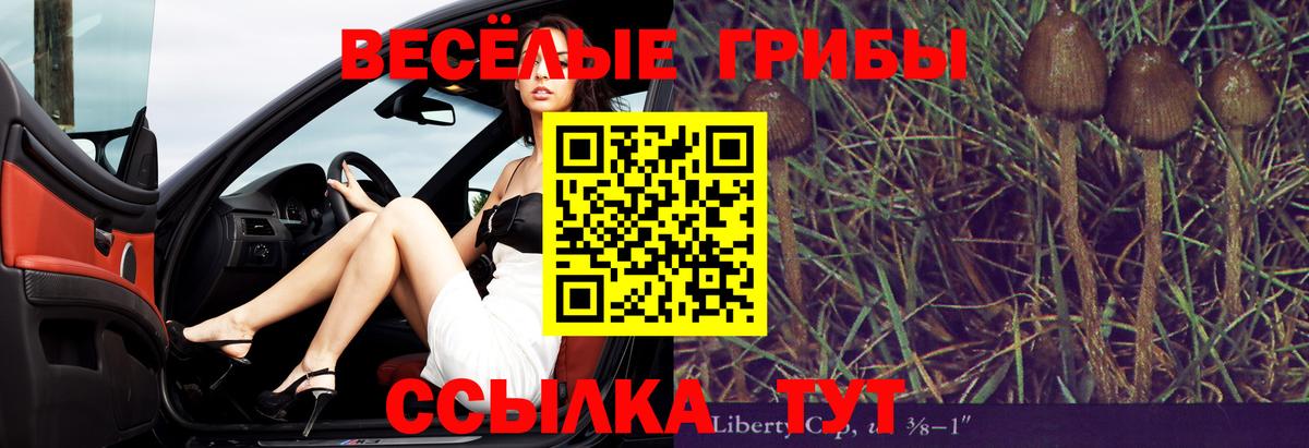 Волгодонск  Псилоцибиновые грибы MAGIC MUSHROOMS  хочу наркоту  Вход с VPN  Псилоцибиновые грибы Magic Shrooms 