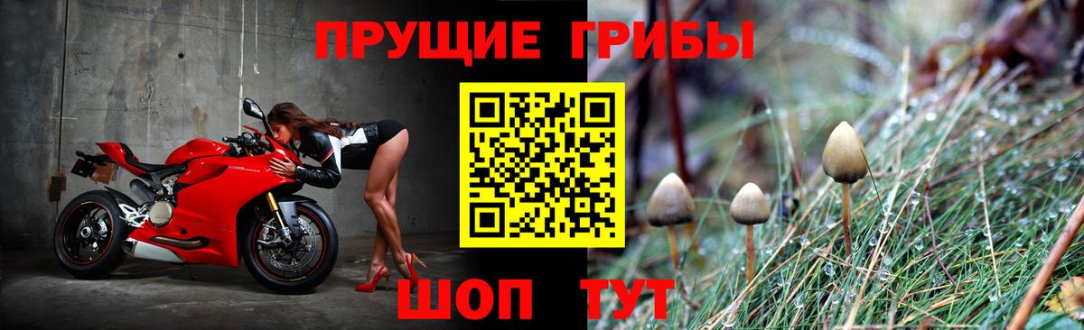 Галлюциногенные грибы Psilocybine cubensis  Волгодонск  Галлюциногенные грибы Magic Shrooms 